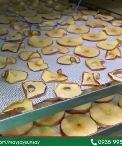 Máy sấy cho nhà máy chế biến thực phẩm - chi tiết máy 3