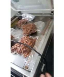 Máy hút chân không DZQ 500