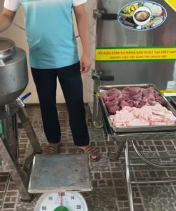 Máy xay giò chả công nghiệp 5.5KW 3 pha 10kg