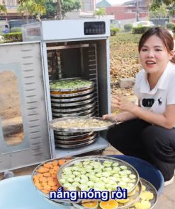 Máy Sấy Thực Phẩm BX20 - Máy Sấy Hoa Quả Buồng Xoay Tự Động Hiện Đại