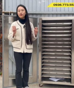 Máy Sấy Thực Phẩm Công Nghiệp 15 Khay- sấy rau củ, thịt, hải sản