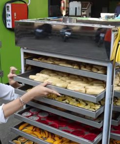 Máy Sấy Thực Phẩm Khô Mini 10 Khay - Sấy nông sản, thực phẩm và dược liệu đa năng