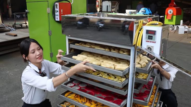 Máy Sấy Thực Phẩm Khô Mini 10 Khay - Sấy nông sản, thực phẩm và dược liệu đa năng (431) Máy Sấy Thực Phẩm Khô Mini 10 Khay Bình Quân – Sấy Nhiệt Đối Lưu