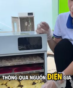 Máy sấy nông sản mini 10K - chi tiết máy 5