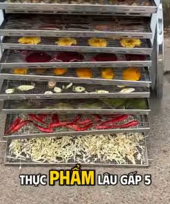 Máy sấy thực phẩm mini 10K inox