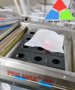 Máy hút chân không thực phẩm DZQ-400 Dạng Thấp - chi tiết máy 2