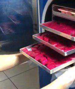 Máy sấy thăng hoa VINASẤY - Công nghệ sấy thực phẩm GIÒN TAN