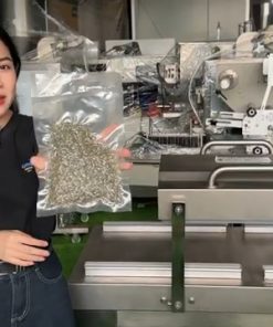 Máy hút chân không công nghiệp DZQ500 2 buồng