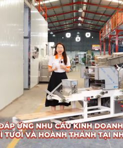 Máy làm mì tươi và hoành thánh trục lô 30cm - chi tiết máy 2