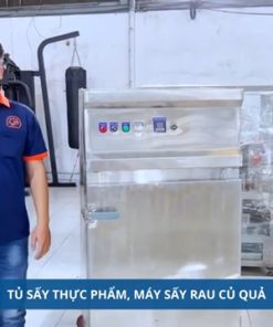 Tủ sấy thực phẩm – máy sấy hoa quả, rau củ, bắp đa năng