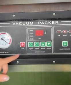 Máy hút chân không 2 buồng DZQ500