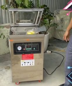 Máy Hút Chân Không DZQ400