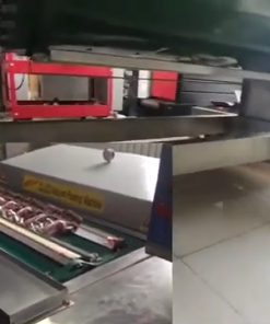 MÁY HÚT CHÂN KHÔNG BĂNG TẢI DZ1000 - chi tiết máy 2