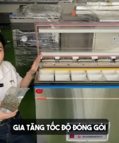 Máy hút chân không trà, chè công nghiệp LD660