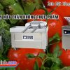 Tổng quan máy hút chân không thực phẩm DZ350, DZ450, DZ500 và DZQ500 2 buồng
