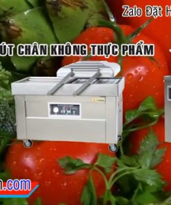 Máy hút chân không thực phẩm DZ350, DZ450, DZ500 và DZQ500 2 buồng
