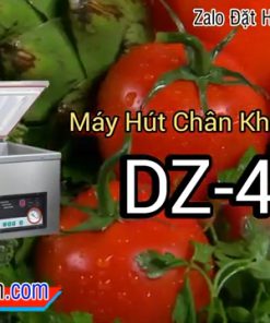 Máy hút chân không thực phẩm DZ350, DZ450, DZ500 và DZQ500 2 buồng - chi tiết máy 2