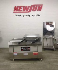 Máy hút chân không 2 buồng Newsun