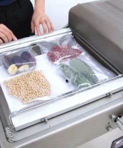 Máy hút chân không DZ4002SA (2 buồng) 2 trong 1