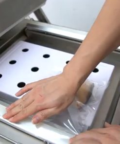 Máy hút chân không DZ4002SA (2 buồng) 2 trong 1 - chi tiết máy 3