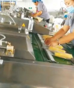 Máy hút chân không băng tải tự động phiên bản mới nhất 2025 - chi tiết máy 3