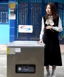 Máy Hút Chân Không Định Hình DX680 - hút chân không chè, gạo, các loại hạt