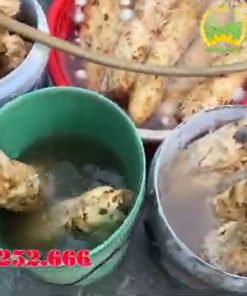 Máy Xay Sắn Dây Tự Vắt Liên Hoàn - chi tiết máy 3