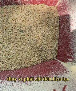 Máy Nghiền Bột Cá Khô, Ngô, Thóc, Trấu - chi tiết máy 3
