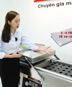 Máy hút chân không 2 buồng DZQ600 - chi tiết máy 2