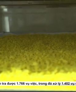 Quy Trình Sản Xuất Tinh Bột Nghệ – Các Bước Chế Biến Từ Nghệ Tươi Đến Thành Phẩm - chi tiết máy 4