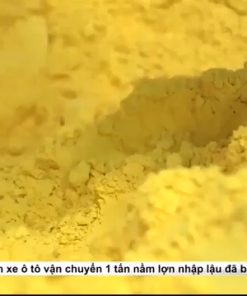 Quy Trình Sản Xuất Tinh Bột Nghệ – Các Bước Chế Biến Từ Nghệ Tươi Đến Thành Phẩm - chi tiết máy 6