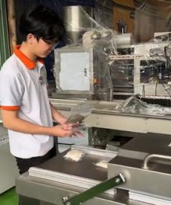 Máy Hút Chân Không Công Nghiệp 2 Buồng DZQ500