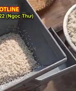 Máy Nghiền Thức Ăn Chăn Nuôi 12 Hai Toa - chi tiết máy 3