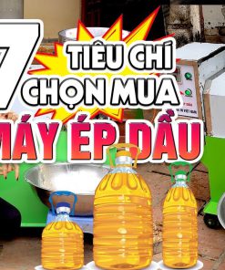 7 Tiêu Chí Chọn Máy Ép Dầu Lạc Tránh Mất Tiền Oan