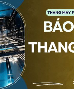 Báo giá Thang máy Cáp kéo tiêu chuẩn