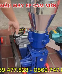 Báo giá chi tiết các dòng máy ép viên S160 và S199 - chi tiết máy 2