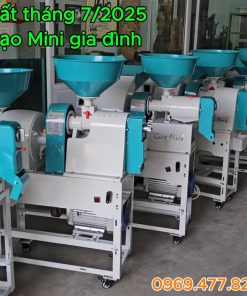 Máy xát gạo mini gia đình - chi tiết máy 2