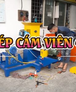 Máy Ép Cám Viên Nổi 40K 1 Pha Làm Cám Cá Nổi