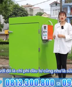 Máy sấy nhiệt đối lưu tuần hoàn khí nóng