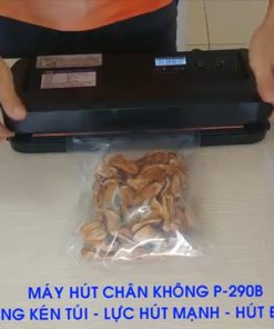 Máy hút chân không P290B