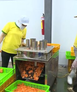 Dây chuyền sản xuất nông sản chiên chân không và mô hình đầu tư thực tế - chi tiết máy 2