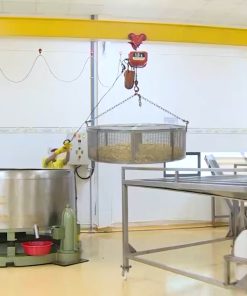 Máy chiên chân không 50kg