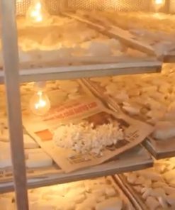 Máy xay vắt nghệ, máy xay vắt tinh bột sắn dây liên hoàn