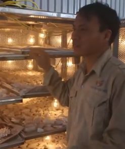 Máy xay vắt nghệ, máy xay vắt tinh bột sắn dây liên hoàn - chi tiết máy 3