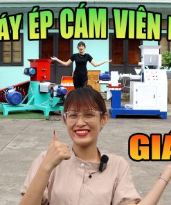 Máy Ép Cám Viên Nổi 150K Cho Trang Trại Thủy Hải Sản