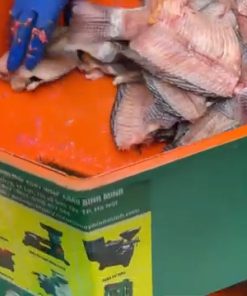 Máy ép cám viên F450 - chi tiết máy 2