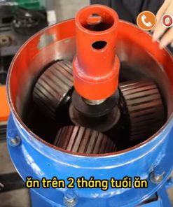 Máy Ép Cám Viên N 160 và S300 - chi tiết máy 2