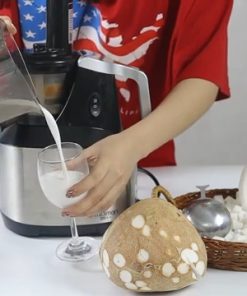 Ép Nước Cốt Dừa Với Máy Ép Chậm Midimori MDMR- 999