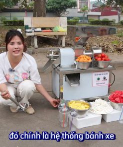 Ép Nước Cốt Hoa Quả Siêu Năng Suất Cùng Máy Ép Nước Cốt Inox