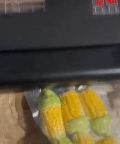 MÁY HÚT CHÂN KHÔNG P400 (MẪU MỚI NHẤT)